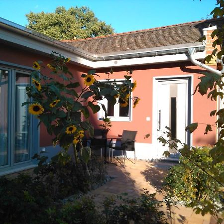 Appartamento Kleines Feines Ferienhaus Im Herzen Von Dresda Esterno foto
