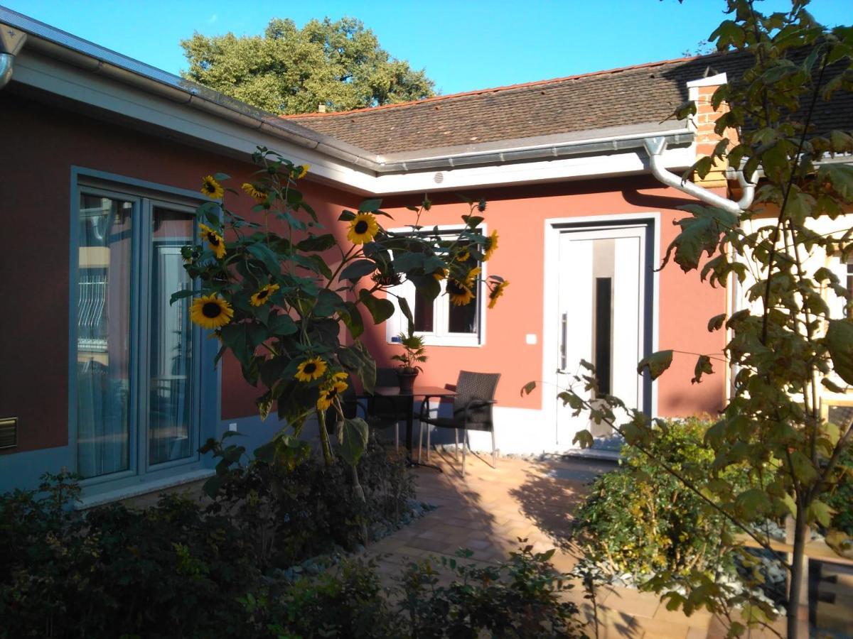 Appartamento Kleines Feines Ferienhaus Im Herzen Von Dresda Esterno foto